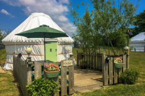 Orchid Yurt